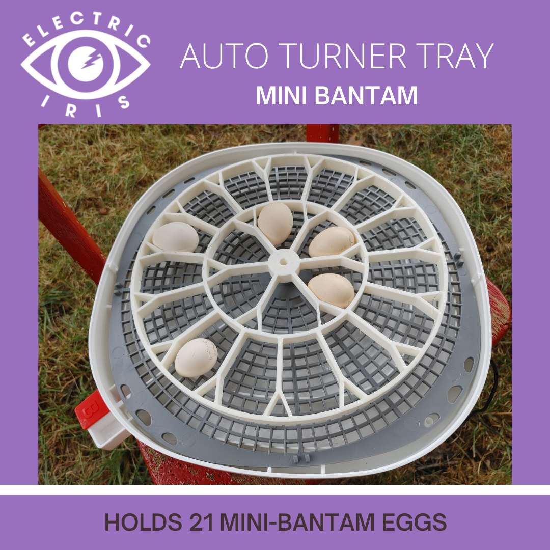 Mini-Bantam Turner Tray compatible with the Nurture Right 360 Incubator