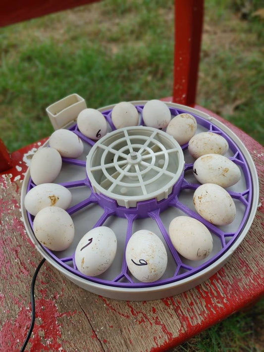 Turner tray for Bantam and mini bantam eggs compatible with the Kebbonixs incubator