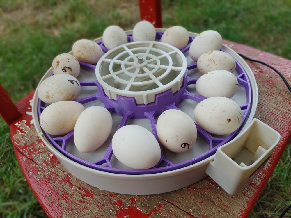 Turner tray for Bantam and mini bantam eggs compatible with the Kebbonixs incubator